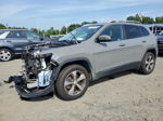 2019 Jeep Cherokee Limited Gray vin: 1C4PJMDX8KD391503