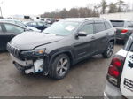 2019 Jeep Cherokee Limited 4x4 Gray vin: 1C4PJMDX8KD460237