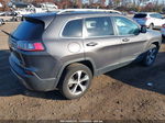 2021 Jeep Cherokee Limited 4x4 Серый vin: 1C4PJMDX9MD148155