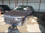 2019 Jeep Cherokee Latitude Plus 4x4 Gray vin: 1C4PJMLB0KD126371