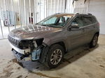 2019 Jeep Cherokee Latitude Plus Gray vin: 1C4PJMLB1KD186367