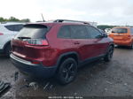 2019 Jeep Cherokee Altitude Красный vin: 1C4PJMLB1KD368893