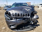 2019 Jeep Cherokee Latitude Plus Gray vin: 1C4PJMLB2KD213768