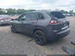 2019 Jeep Cherokee Altitude 4x4 Gray vin: 1C4PJMLB3KD465383