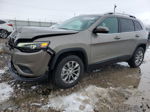 2019 Jeep Cherokee Latitude Plus Brown vin: 1C4PJMLN9KD162988