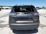 2019 Jeep Cherokee Latitude Plus Gray vin: 1C4PJMLX1KD488916