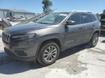 2019 Jeep Cherokee Latitude Plus Gray vin: 1C4PJMLX1KD488916