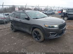 2019 Jeep Cherokee Altitude 4x4 Серый vin: 1C4PJMLX2KD300114