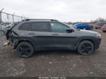 2019 Jeep Cherokee Altitude 4x4 Gray vin: 1C4PJMLX2KD300114