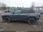 2019 Jeep Cherokee Altitude 4x4 Gray vin: 1C4PJMLX2KD300114