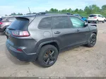 2019 Jeep Cherokee Altitude 4x4 Серый vin: 1C4PJMLX2KD459246