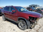 2019 Jeep Cherokee Latitude Plus Burgundy vin: 1C4PJMLX5KD132470