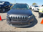 2021 Jeep Cherokee Latitude Lux 4x4 Серый vin: 1C4PJMMX7MD241854