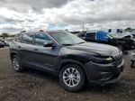 2021 Jeep Cherokee Latitude Lux Серый vin: 1C4PJMMXXMD109803