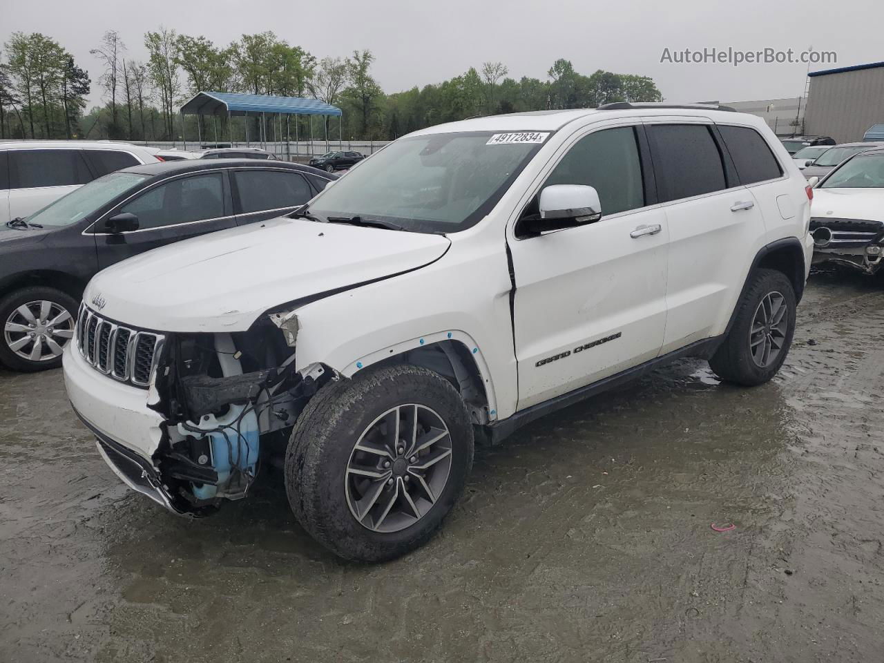 2019 Jeep Grand Cherokee Limited Белый vin: 1C4RJEBGXKC630105