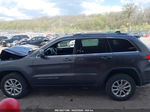 2015 Jeep Grand Cherokee Laredo Gray vin: 1C4RJFAG6FC212346