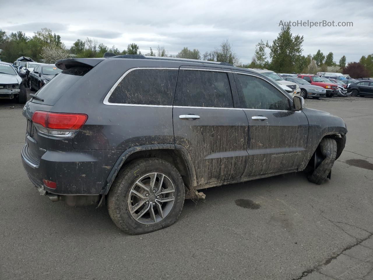 2019 Jeep Grand Cherokee Limited Gray vin: 1C4RJFBG3KC713008