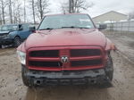 2012 Dodge Ram 1500 St Burgundy vin: 1C6RD7FT8CS264783