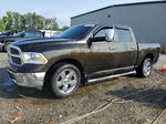 2014 Ram 1500 Slt Brown vin: 1C6RR6LG5ES198439