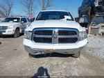 2015 Ram 1500 Slt Белый vin: 1C6RR7GMXFS529023