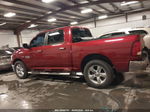 2014 Ram 1500 Big Horn Темно-бордовый vin: 1C6RR7LT3ES451888