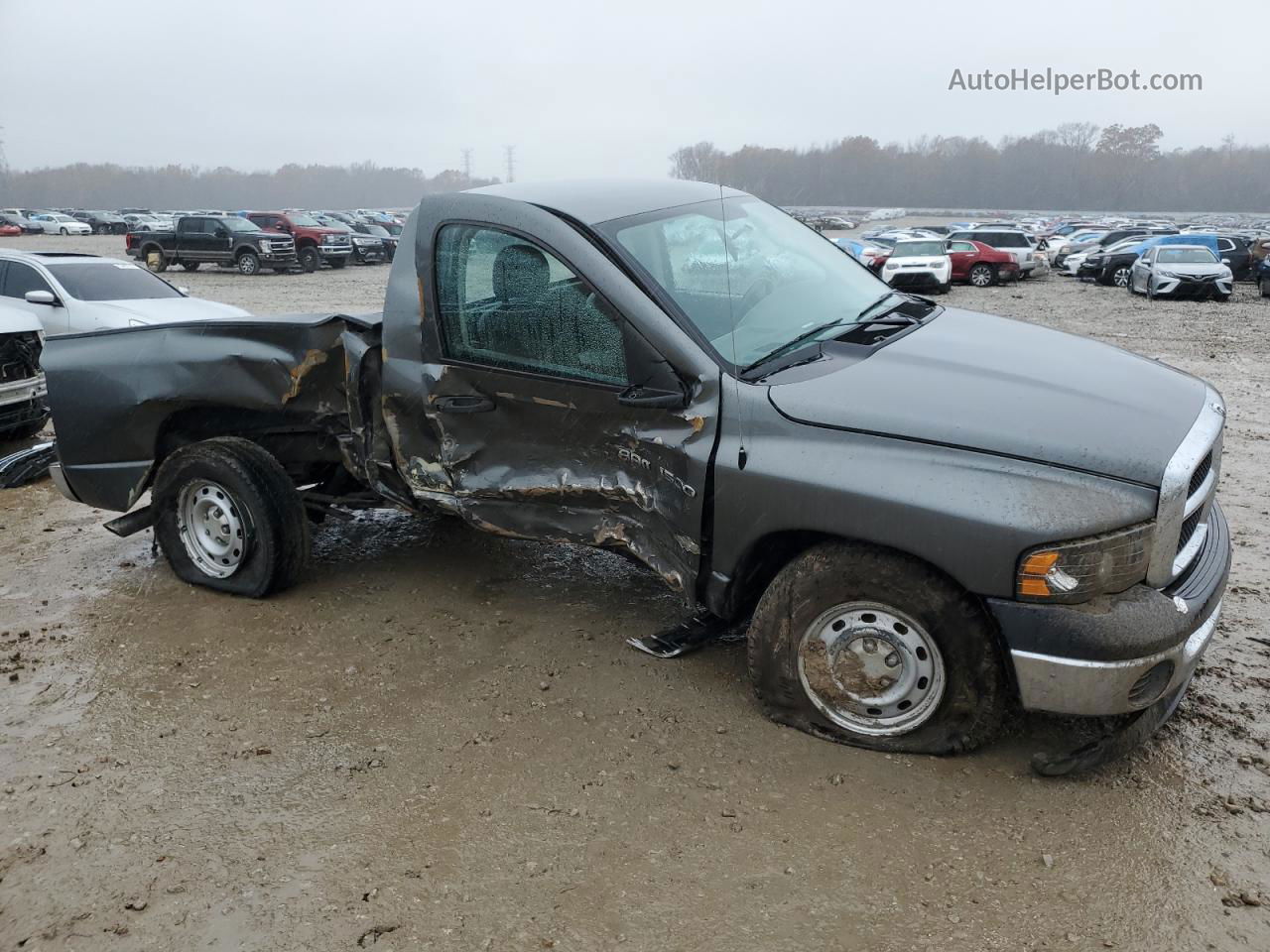 2005 Dodge Ram 1500 St Серый vin: 1D7HA16N25J628206