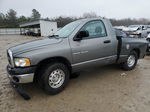 2005 Dodge Ram 1500 St Серый vin: 1D7HA16N25J628206