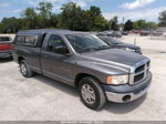 2005 Dodge Ram 1500 St Серый vin: 1D7HA16N95J535876