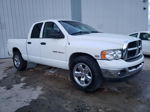 2005 Dodge Ram 1500 St White vin: 1D7HA18D45S172353