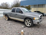 2005 Dodge Ram 1500 St Gray vin: 1D7HA18N85S324711