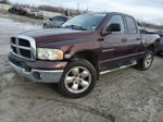 2005 Dodge Ram 1500 St Purple vin: 1D7HU18D95S312842