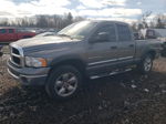 2005 Dodge Ram 1500 St Gray vin: 1D7HU18D95S334615