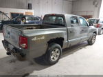 2006 Dodge Dakota Slt Gray vin: 1D7HW48N36S506790