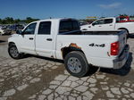 2006 Dodge Dakota Quad Slt White vin: 1D7HW48N96S583535