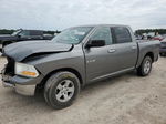 2010 Dodge Ram 1500  Gray vin: 1D7RB1CP4AS241734