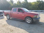 2010 Dodge Ram 1500  Бордовый vin: 1D7RB1CP6AS156328