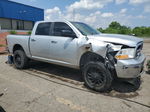 2010 Dodge Ram 1500  Silver vin: 1D7RB1CP8AS117109