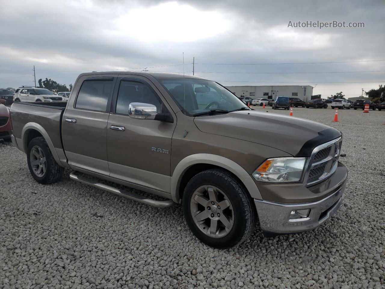 2010 Dodge Ram 1500  Двухцветный vin: 1D7RB1CT0AS102021