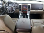 2010 Dodge Ram 1500  Двухцветный vin: 1D7RB1CT0AS102021