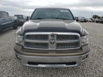 2010 Dodge Ram 1500  Двухцветный vin: 1D7RB1CT0AS102021