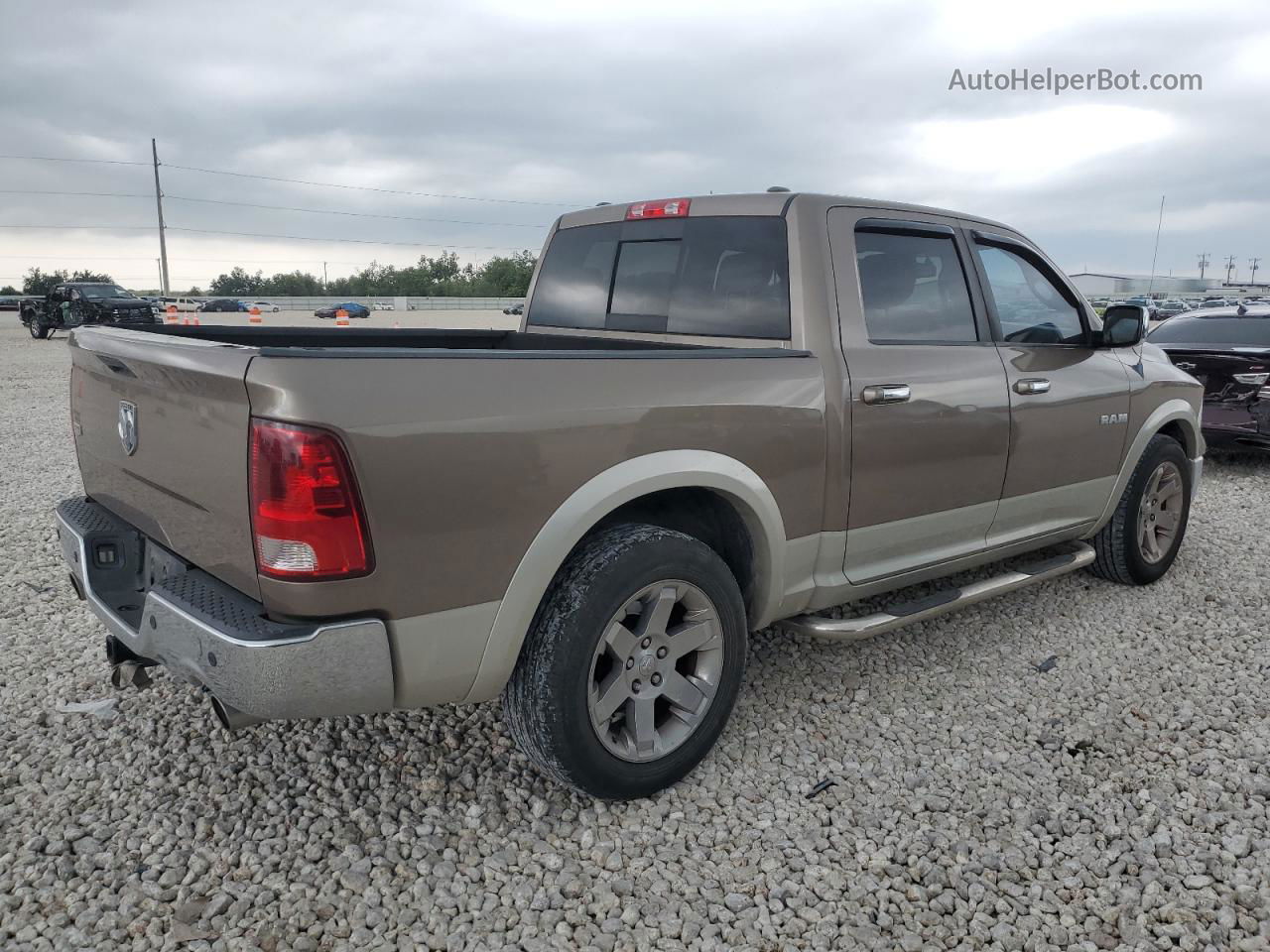 2010 Dodge Ram 1500  Двухцветный vin: 1D7RB1CT0AS102021