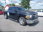 2010 Dodge Ram 1500 Slt/sport/trx Black vin: 1D7RB1CT3AS110548