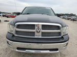 2010 Dodge Ram 1500  Black vin: 1D7RB1CT3AS148099