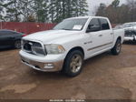 2010 Dodge Ram 1500 Slt/sport/trx White vin: 1D7RB1CT5AS235650