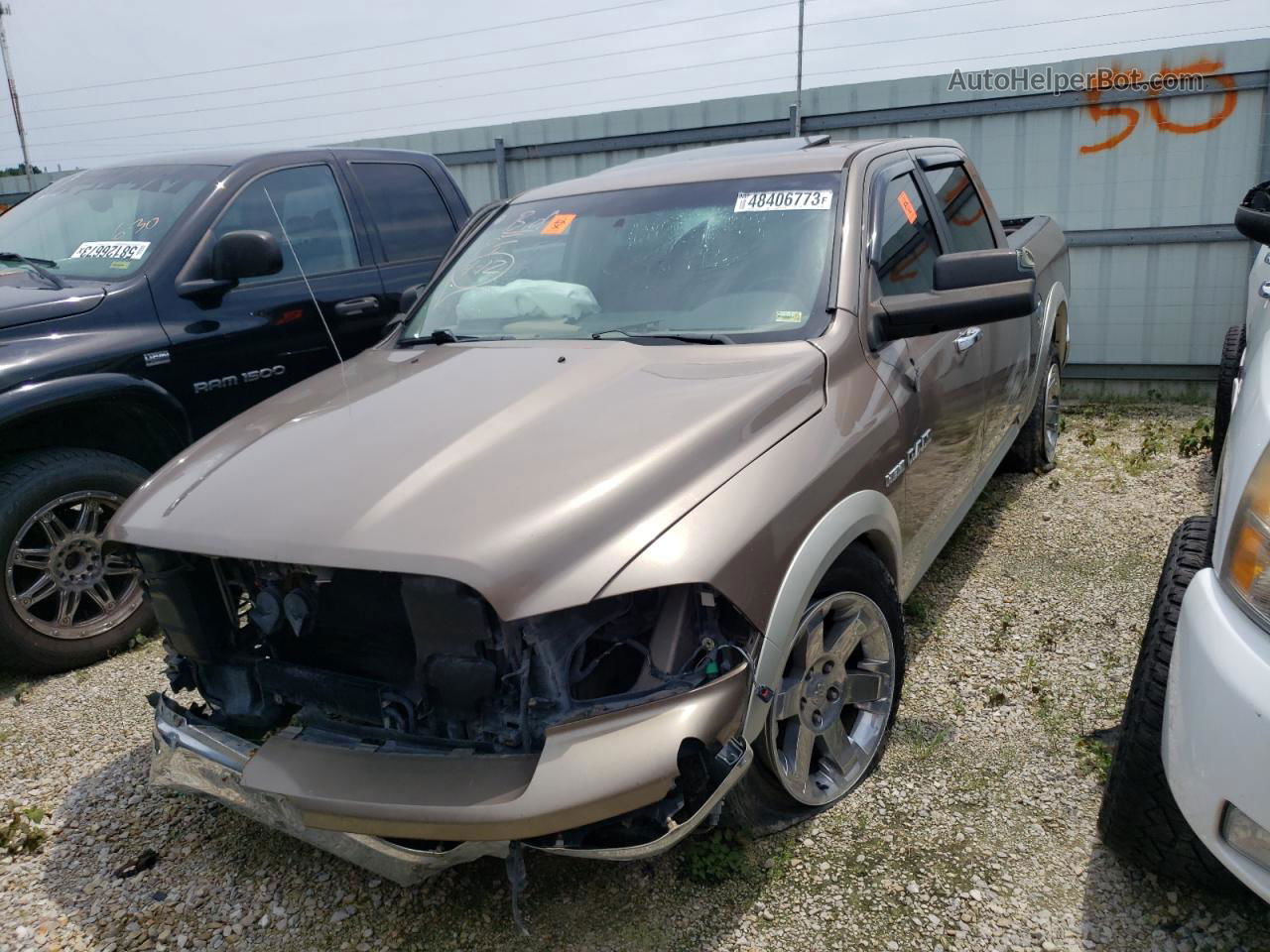 2010 Dodge Ram 1500  Brown vin: 1D7RB1CT6AS103965