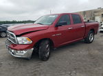 2010 Dodge Ram 1500  Red vin: 1D7RB1CT8AS145103