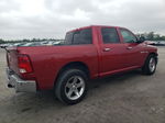 2010 Dodge Ram 1500  Red vin: 1D7RB1CT8AS145103