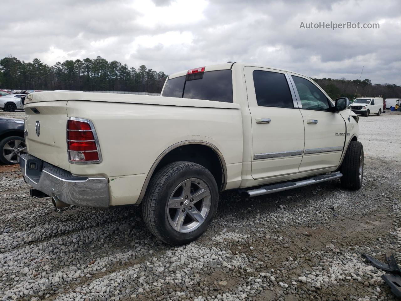 2010 Dodge Ram 1500  Cream vin: 1D7RB1CT9AS226546