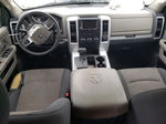 2010 Dodge Ram 1500  Cream vin: 1D7RB1CT9AS226546