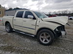 2010 Dodge Ram 1500  Cream vin: 1D7RB1CT9AS226546